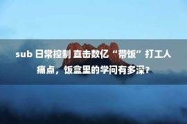 sub 日常控制 直击数亿“带饭”打工人痛点，饭盒里的学问有多深？