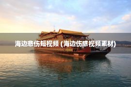 海边悲伤短视频 (海边伤感视频素材)