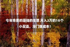 今年免费的赚钱的生意 月入2万的10个小买卖，冷门爆成本！