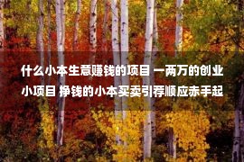 什么小本生意赚钱的项目 一两万的创业小项目 挣钱的小本买卖引荐顺应赤手起身的年老人