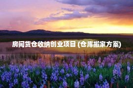 房间货仓收纳创业项目 (仓库搬家方案)