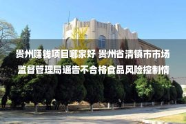 贵州赚钱项目哪家好 贵州省清镇市市场监督管理局通告不合格食品风险控制情况（2022年第41期）