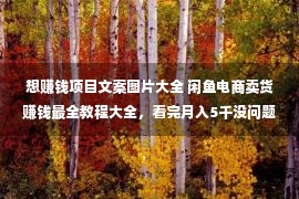 想赚钱项目文案图片大全 闲鱼电商卖货赚钱最全教程大全，看完月入5千没问题！