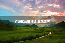 广州区块链穗链 鳐观链界