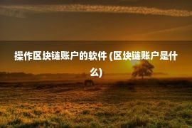 操作区块链账户的软件 (区块链账户是什么)