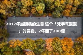 2017年最赚钱的生意 这个「凭手气鼓鼓」的买卖，2年翻了200倍