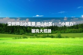 深圳坪山小生意 坪山社区： “小努力”擦亮大招牌