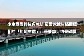 小生意盈利技巧总结 蜜雪冰城与杨国福们的「加盟生意」：是蜜糖，也是砒霜