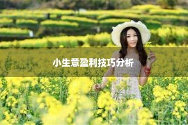 小生意盈利技巧分析 