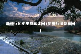 新疆兵团小生意转让网 (新疆兵团交易网)