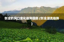 创业的风口变化趋势图例 (创业潮流趋势)