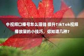 中视频口播号怎么赚钱 提升TikTok视频播放量的小技巧，你知道几种？