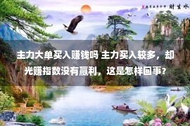 主力大单买入赚钱吗 主力买入较多，却光赚指数没有赢利，这是怎样回事？