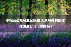 小视频公众号怎么赚钱 大众号赢利集体体味瓜分（可靠履历）