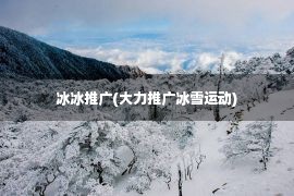 冰冰推广(大力推广冰雪运动)