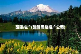 醴陵推广(醴陵网络推广公司)