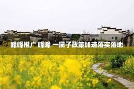 峰峰推广 峰峰 一揽子政策加速落实落地