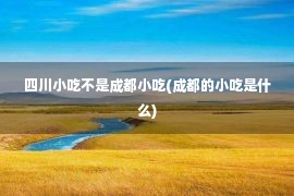 四川小吃不是成都小吃(成都的小吃是什么)