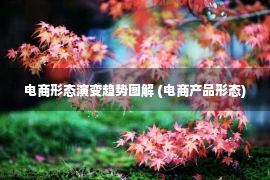 电商形态演变趋势图解 (电商产品形态)