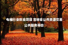 电梯行业创业项目 吉林省公共资源交易公共服务平台