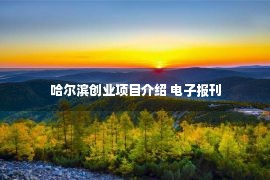 哈尔滨创业项目介绍 电子报刊