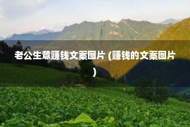 老公生意赚钱文案图片 (赚钱的文案图片)