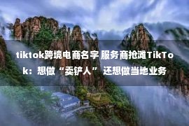 tiktok跨境电商名字 服务商抢滩TikTok：想做“卖铲人” 还想做当地业务