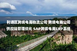 利通区跨境电商物流公司 跨境电商公司供应链管理优化 SAP跨境电商ERP系统