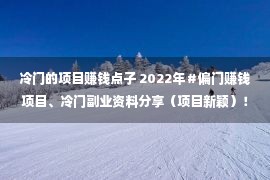 冷门的项目赚钱点子 2022年＃偏门赚钱项目、冷门副业资料分享（项目新颖）！