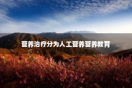 营养治疗分为人工营养营养教育 