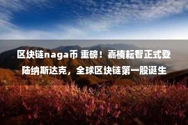 区块链naga币 重磅！嘉楠耘智正式登陆纳斯达克，全球区块链第一股诞生