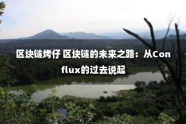 区块链烤仔 区块链的未来之路：从Conflux的过去说起