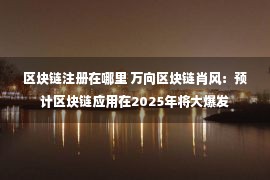 区块链注册在哪里 万向区块链肖风：预计区块链应用在2025年将大爆发