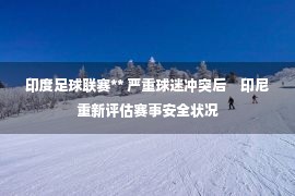 印度足球联赛** 严重球迷冲突后　印尼重新评估赛事安全状况