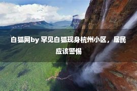 白狐网by 罕见白狐现身杭州小区，居民应该警惕