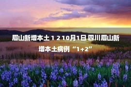 眉山新增本土 1 2 10月1日 四川眉山新增本土病例“1+2”