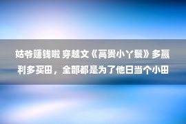 姑爷赚钱啦 穿越文《高贵小丫鬟》多赢利多买田，全部都是为了他日当个小田主