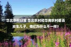 华北农村日常 华北农村和华南农村都喜欢生儿子，他们为什么不一样？