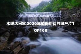 水暖店日常 2020年值得期待的国产片TOP100