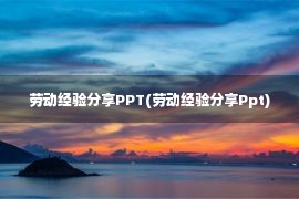 劳动经验分享PPT(劳动经验分享Ppt)