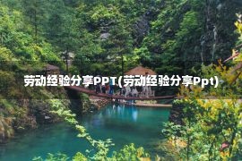 劳动经验分享PPT(劳动经验分享Ppt)