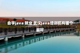 自学java 就业 武汉Java培训机构哪个最好