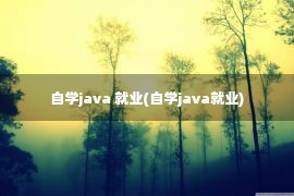 自学java 就业(自学java就业)