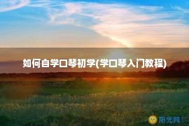 如何自学口琴初学(学口琴入门教程)