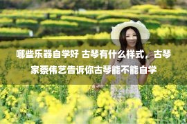 哪些乐器自学好 古琴有什么样式，古琴家蔡伟艺告诉你古琴能不能自学