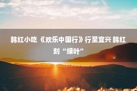 韩红小吃 《欢乐中国行》行至宜兴 韩红刻“绿叶”