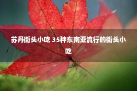 苏丹街头小吃 35种东南亚流行的街头小吃