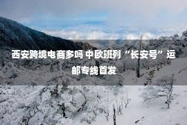 西安跨境电商多吗 中欧班列“长安号”运邮专线首发