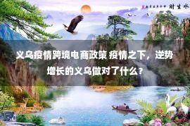 义乌疫情跨境电商政策 疫情之下，逆势增长的义乌做对了什么？