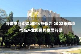 跨境电商索赔风险分析报告 2022年跨境电商产业园区的发展前景